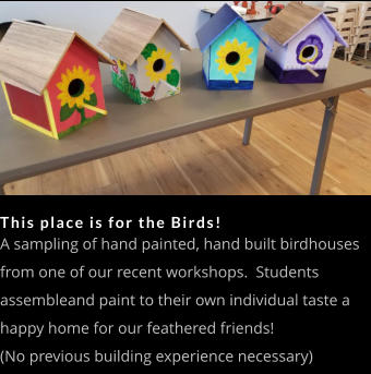 This place is for the Birds! A sampling of hand painted, hand built birdhouses from one of our recent workshops.  Students assembleand paint to their own individual taste a happy home for our feathered friends! (No previous building experience necessary)